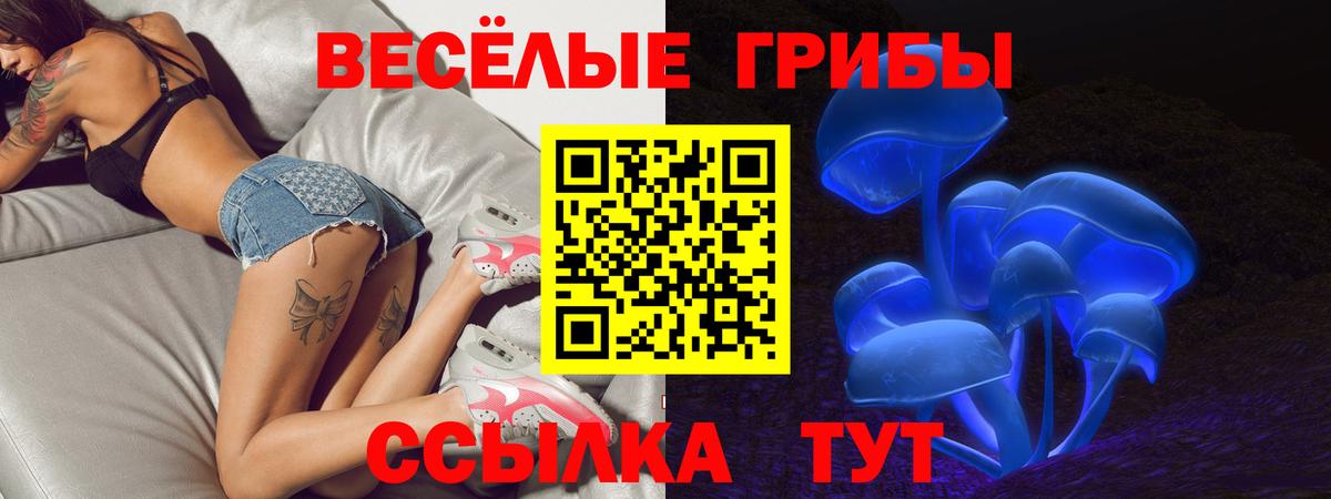 Псилоцибиновые грибы MAGIC MUSHROOMS  Вход с VPN  Лесосибирск  Псилоцибиновые грибы прущие грибы 